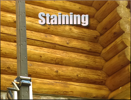  Scotland Neck, North Carolina Log Home Staining